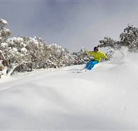 Mt Buller and Mt Stirling Alpine Resort - Yamba Accommodation