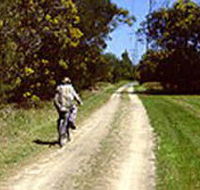 Koomba Park - Yamba Accommodation