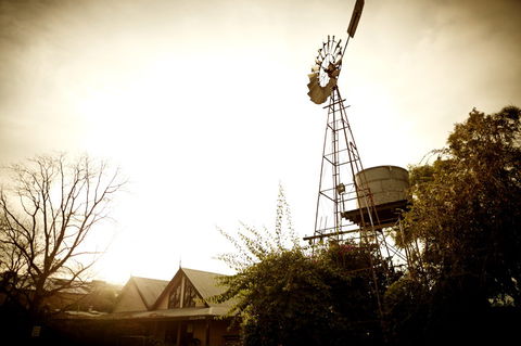 Brown Brothers Milawa Vineyard - Yamba Accommodation 1