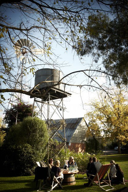 Brown Brothers Milawa Vineyard - Yamba Accommodation 5