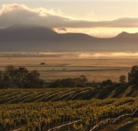 Montara Wines - Yamba Accommodation