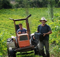 Kellybrook Winery  Kelly Brothers Cider - Yamba Accommodation