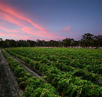 Amherst Winery - Yamba Accommodation