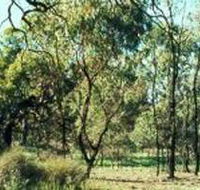 Leaghur State Park - Yamba Accommodation