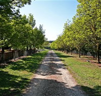 Waybourne Winery - Yamba Accommodation