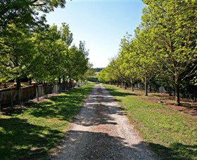 Waybourne Winery - Yamba Accommodation 0