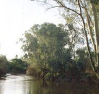 Banksia Park - Yamba Accommodation