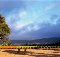Mount Avoca - Yamba Accommodation