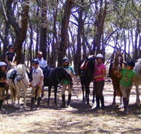 Bellarine Horse Riding Centre - Yamba Accommodation