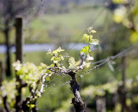 Kyneton Ridge Estate - Yamba Accommodation 0