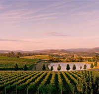 Oakridge Wines - Yamba Accommodation