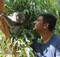 Healesville Sanctuary - Yamba Accommodation