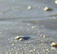 Cape Liptrap Coastal Park - Yamba Accommodation