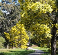 Wattle Park - Yamba Accommodation