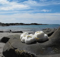 Calma Candles - Yamba Accommodation