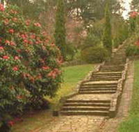 Maroondah Reservoir Park - Yamba Accommodation