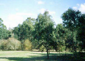 Sweeneys Flat - Yamba Accommodation 0