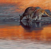 Steve Morvell Wildlife Art - Yamba Accommodation
