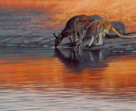 Steve Morvell Wildlife Art - Yamba Accommodation 0