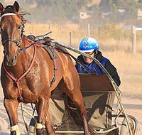 Ballarat  District Trotting Club - Yamba Accommodation