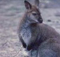 Churchill National Park - Yamba Accommodation