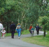Birrarrung Park - Yamba Accommodation