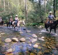 Howqua Hills Historic Area - Yamba Accommodation