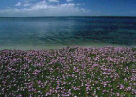 Dutson VIC Yamba Accommodation