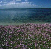 The Lakes National Park - Yamba Accommodation