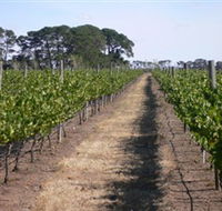 Mount Beckworth Wines - Yamba Accommodation