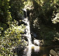 Macquarie Pass National Park - Yamba Accommodation