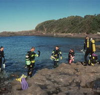 Bushrangers Bay Aquatic Reserve - Yamba Accommodation