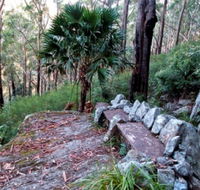 Wodi Wodi Walking Track - Yamba Accommodation