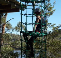 Trees Adventure Shoalhaven - Yamba Accommodation