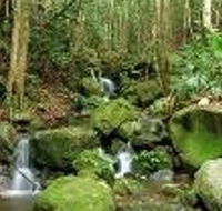 Budderoo National Park - Yamba Accommodation