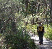 Barren Grounds Nature Reserve - Yamba Accommodation