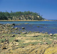 Aslings Beach - Yamba Accommodation