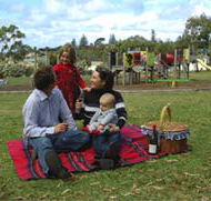 Blackbutt Forest Reserve - Yamba Accommodation