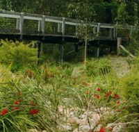 Eurobodalla Botanic Gardens - Yamba Accommodation