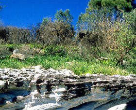 Abrahams Bosom Reserve - Yamba Accommodation 0