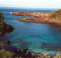 Bass Point Reserve - Yamba Accommodation