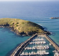 Muttonbird Island Nature Reserve - Yamba Accommodation