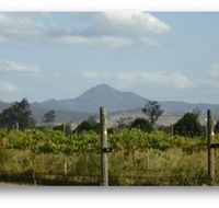 Ironbark Ridge Vineyard - Yamba Accommodation