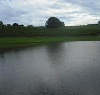 Vintners Secret Vineyard Cellar Door and Cafe - Yamba Accommodation