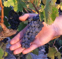 Eagles Rise Wine - Yamba Accommodation