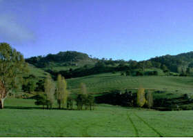 McIvor Estate - Yamba Accommodation 0