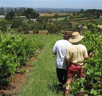 Sir Paz Estate - Yamba Accommodation