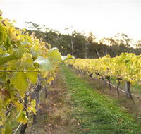 Harcourt Valley Vineyards - Yamba Accommodation