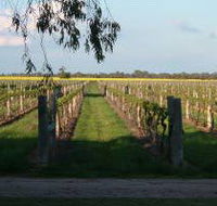 Water Wheel Vineyards - Yamba Accommodation