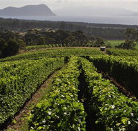 Bream Creek Vineyard - Yamba Accommodation